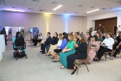 vista-general-lanzamiento
