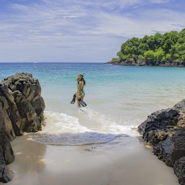 Panamá al Natural Destinos y Consultorías Turísticas