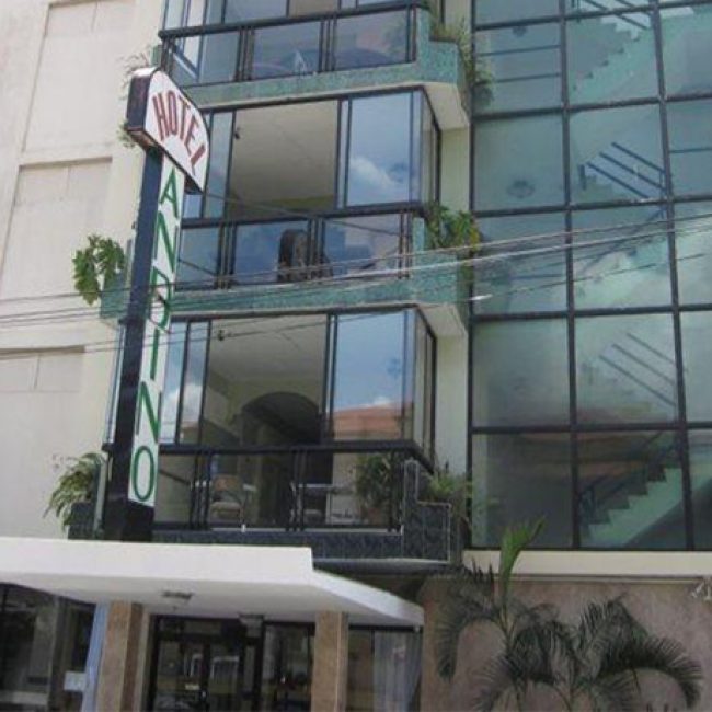 Hotel Andino
