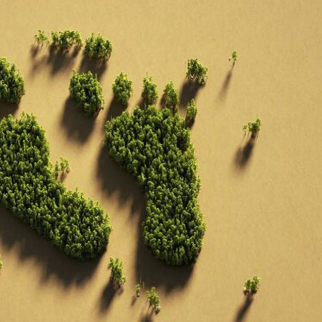 MICE Wave, lanza Nuevo Manual Práctico sobre la Huella de Carbono en Eventos