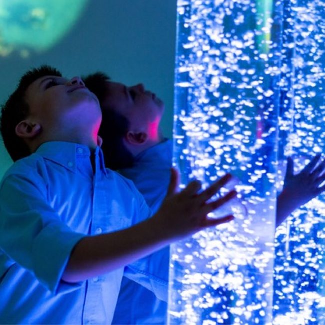 El Autismo y la Inclusión en los Eventos y el Turismo: Hacia una Sociedad Más Accesible