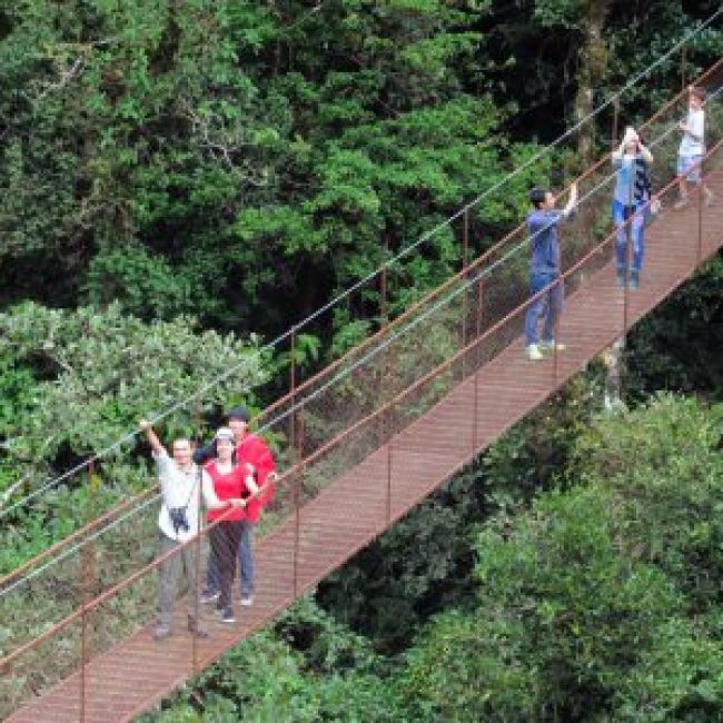Puentes Colgantes en Boquete